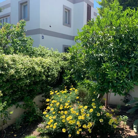 Apartment 3 Bedroom Flat 500m Walking Distance To The In Yahsi