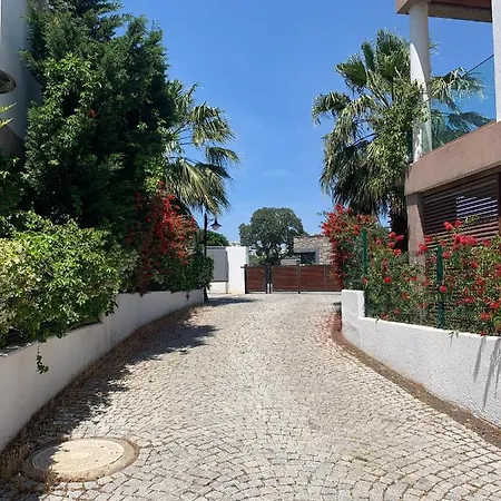 3 Bedroom Flat 500m Walking Distance To The In Yahsi Ortakent